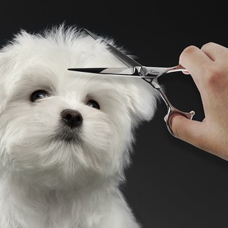 바비온 강아지 고양이 EL 6 일자 미용가위 5.4 x 17.5 cm E2-601S, 1개