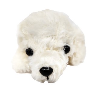 Little Beans 狗狗 絨毛 玩偶貴賓狗, 白色, 1個