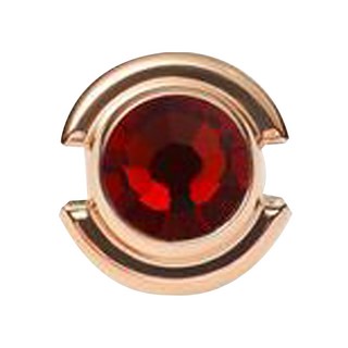 Daniel Wellington 女款 BIRTHSTONE CHARM 誕生石墜飾