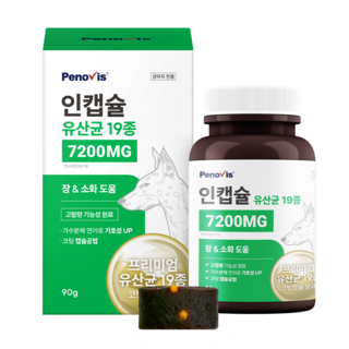 페노비스 강아지 인캡슐 영양제, 90g, 장건강/유산균, 1개