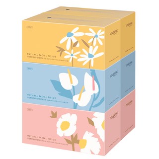 Coupang Basics Natural面紙, 280張, 6盒