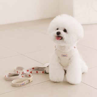 펫츠랜드 강아지 하트팝 하네스 + 핸즈프리 리드줄 세트, 바닐라 크림, 1세트