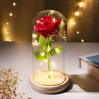 LED 玻璃罩仿真玫瑰花夜燈禮盒組, 紅色 + 透明色 + 金色ˋ