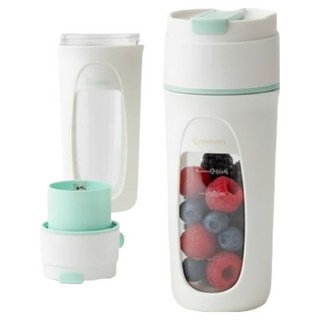 벤하임 포터블 블렌더 민트, BPB-04-001