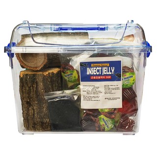 벅스킹덤 프리미엄 사슴벌레 클린 사육세트, 혼합색상, 1세트