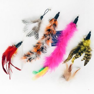 딩동펫 고양이 낚싯대 리필 깃털 6종 세트, A, 1세트