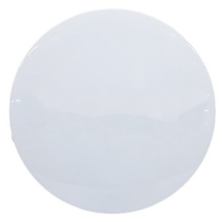 TRUNK 壯格 75W LED 遙控調光調色吸頂燈 CL58075A-07, 白色