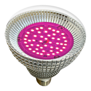 JIUNPEY 君沛光電 植物燈泡 15W E27, 紅藍混光, 1顆