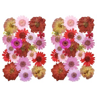 A-ONE 匯旺 真花壓花 中花包 BB12, 春回大地 粉紅色 + 紅色