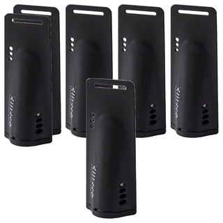 小麥購物 鞋子除臭黑盒 Y799 石榴香, 24g, 6個