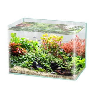 YP 圓角迷你魚缸 DG-22B, 混色, 1入