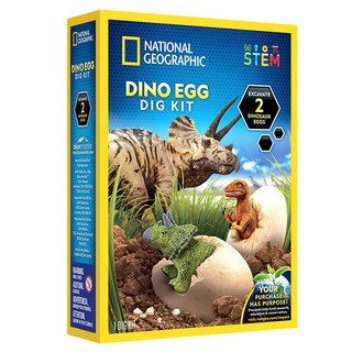 國家地理 化石挖掘 恐龍蛋 大 灰色 RTNGDEGGDIG, 1個