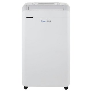 Opure 臻淨 負離子清淨除濕機 21L, DH1