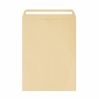 自黏式膠帶文件信封 245 x 330 mm, A4, 100個