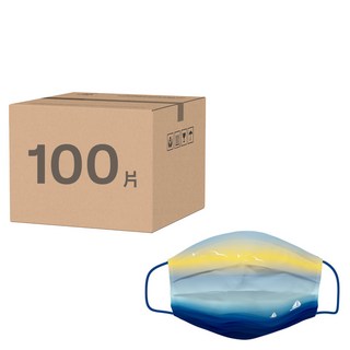 DR.PAUL 成人醫用平面口罩, 都蘭破曉, 50片, 2盒