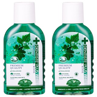 덴티스테 내츄럴 오랄린스 구강청결제, 100ml, 2개