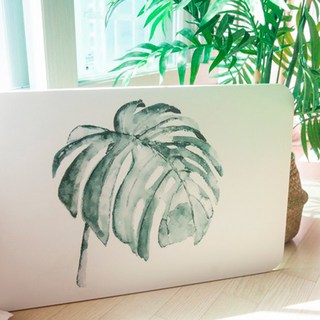 印花硅藻土腳踏墊, 龜背竹