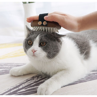 제이에이치컴퍼니 고양이 목욕탕 스타일 브러쉬 소형, 혼합색상, 1개