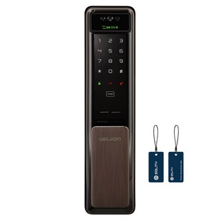 SOLITY WELKOM 人臉辨識推拉式數位含把手門鎖 WSP-2900A + 2張卡片鑰匙組, 顧客自行安裝
