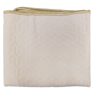 可水洗乳膠柔軟沙發墊 素色 雙人