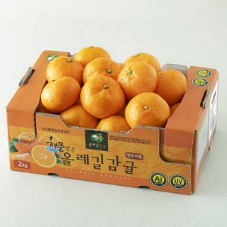 해풍맞은 올레길 Ai 당도선별 11brix 감귤 로열과, 2kg(로열과), 1개