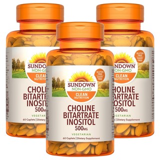 SUNDOWN NATURALS 日落恩賜 孕寶膽鹼 + 肌醇加強錠, 60顆, 0.8g, 3罐