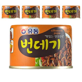 Yoodong 蠶蛹罐頭, 130g, 5個