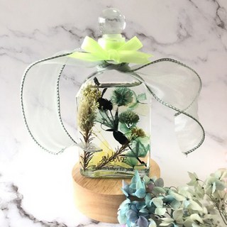 A-ONE 匯旺 浮游花DIY花材包 H36 10g 3個, 芬綠悸動