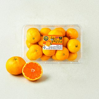 해풍맞은 올레길 Ai 당도선별 11brix 감귤, 1.5kg(로열과), 1개