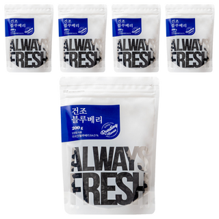 MOMAEJOWHA 乾燥藍莓, 5個, 200g