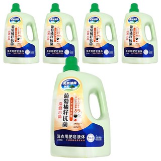 南僑水晶 洗衣用液體 葡萄柚籽抗菌, 2.4kg, 5桶