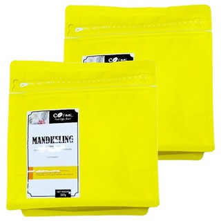 COFeeL凱飛 鮮烘咖啡豆 印尼蘇門答臘 黃金曼特寧 中深烘焙 227g, 2包