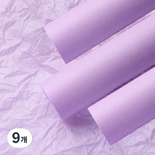 Eumes 花店材料 彩色紙 花束包裝紙 70 x 50公分 20張, 9個, 紫色