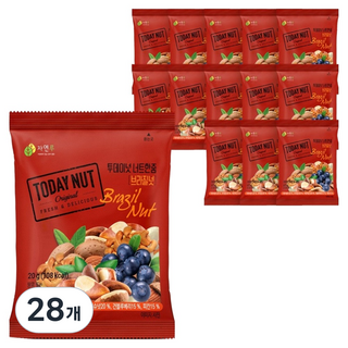 투데이넛 너트한줌 브라질넛, 20g, 28개