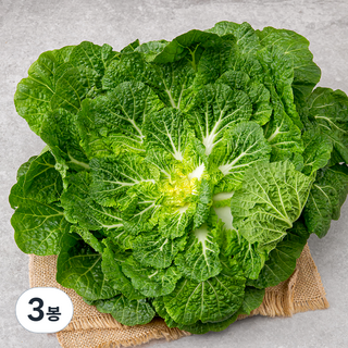 국내산 봄동, 1kg, 3봉