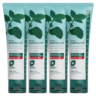 2080 Denti Leaf 1450 Max 清新牙膏, 120g, 4個