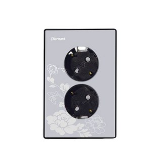 印花歐規式雙插座 銀色+嵌入式支架, 1套