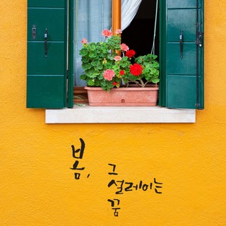 원에이엠 캘리그라피 포인트스티커 봄 그 설레이는 꿈, 진회