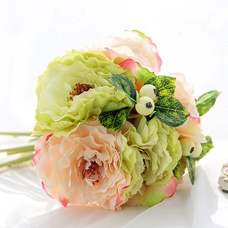 和諧如幸福村中的一朵花 布什牡丹貝拉, 粉色的