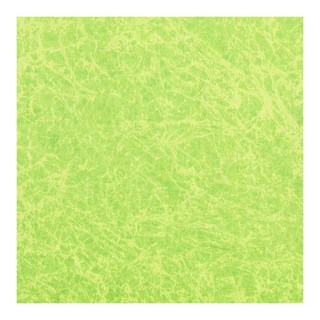 金龜 亮漆調色盤印花布料淡綠色, 1個