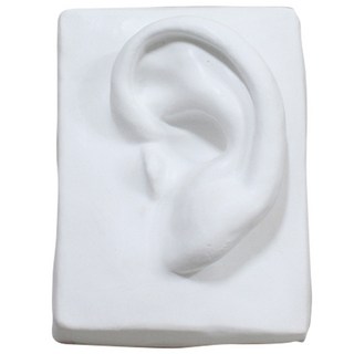 MORYARTS 人體耳朵石膏像, 1 個, 17 x 11.5 厘米