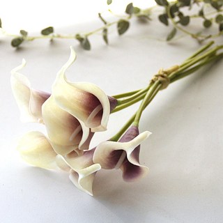 仿真馬蹄蓮花枝, 紫色