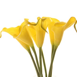 仿真馬蹄蓮花枝, 黃色