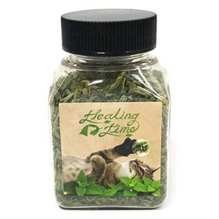 힐링타임 띵가띵가 드라이 캣닢, 7g, 1개