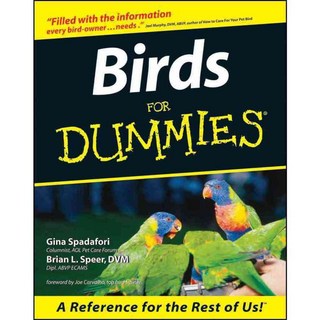 傻鳥, 對於傻瓜來說