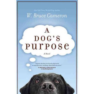 狗的目的, 鍛造