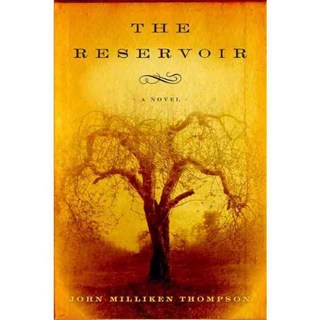 水庫, 其他私人有限公司