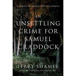 讓塞繆爾·克拉多克 (Samuel Craddock) 感到不安的犯罪行為, 第七街圖書