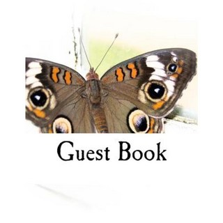 留言簿：隨意使用姓名和地址登入建議願望預測平裝本, Createspace獨立發布平台