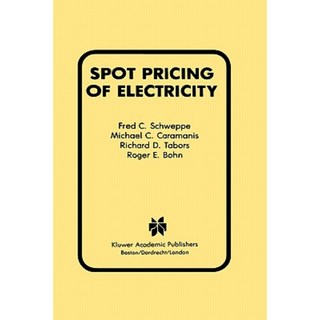 電力精裝現貨電價, 施普林格